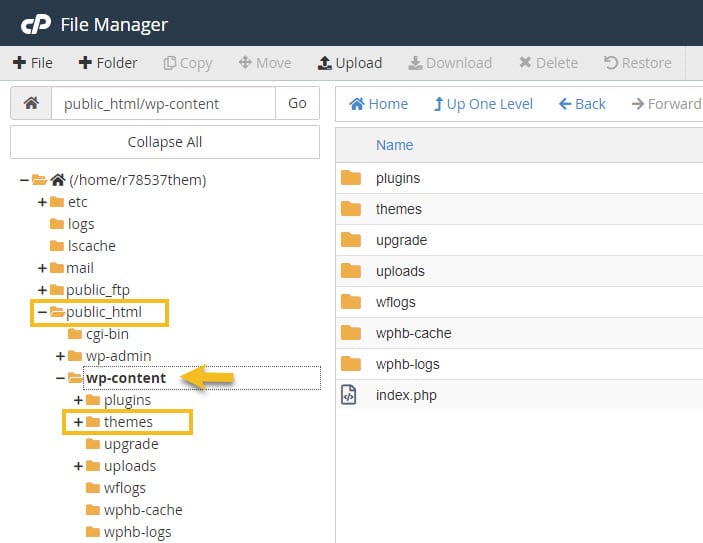 Access Themes folder in cPanel