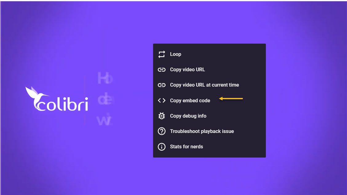 copy Youtube's embed code