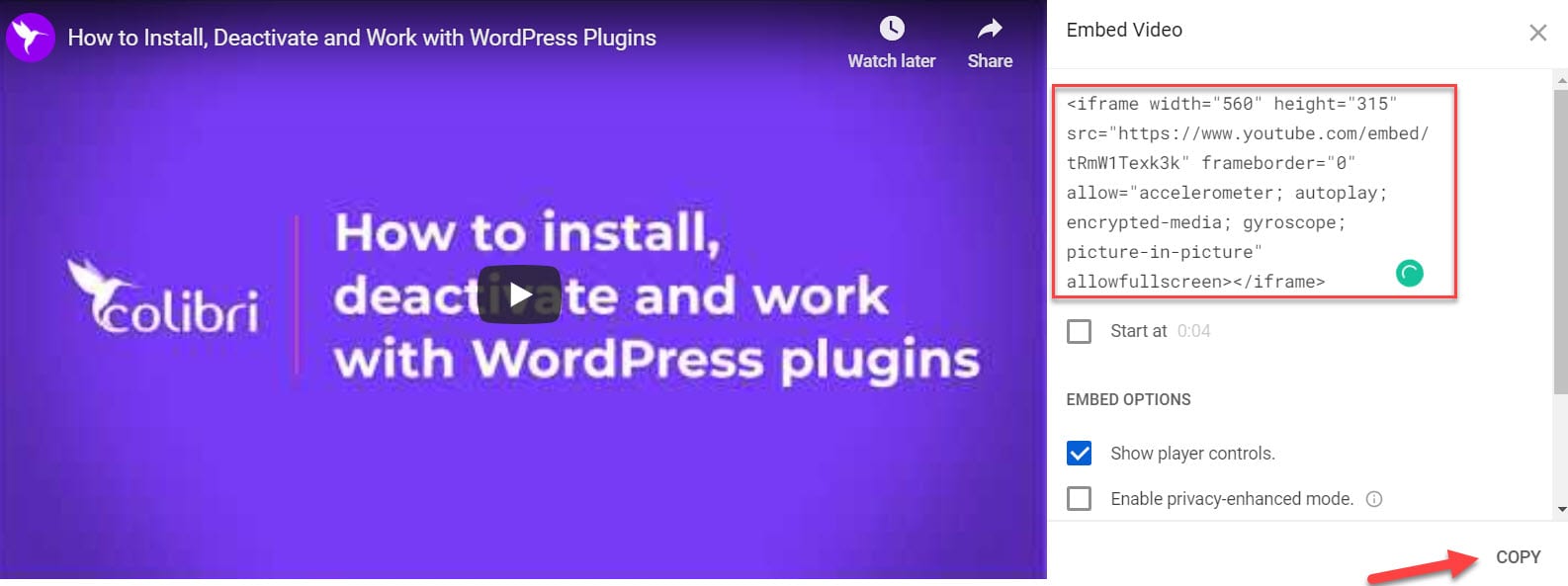 embed video WordPress