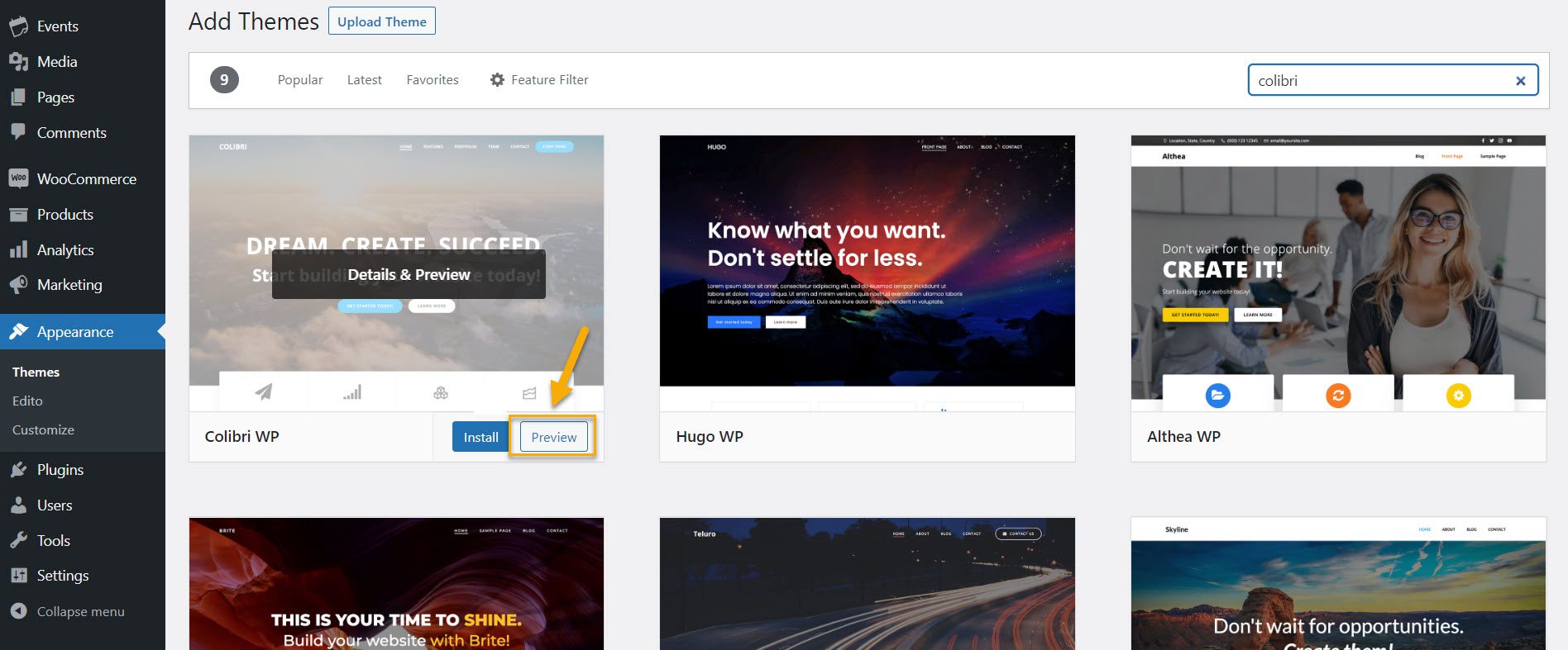 wordpress theme live preview