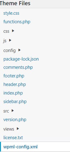 WordPress theme files