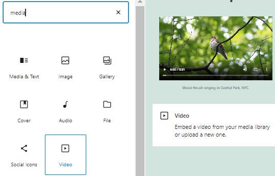 WordPress video block