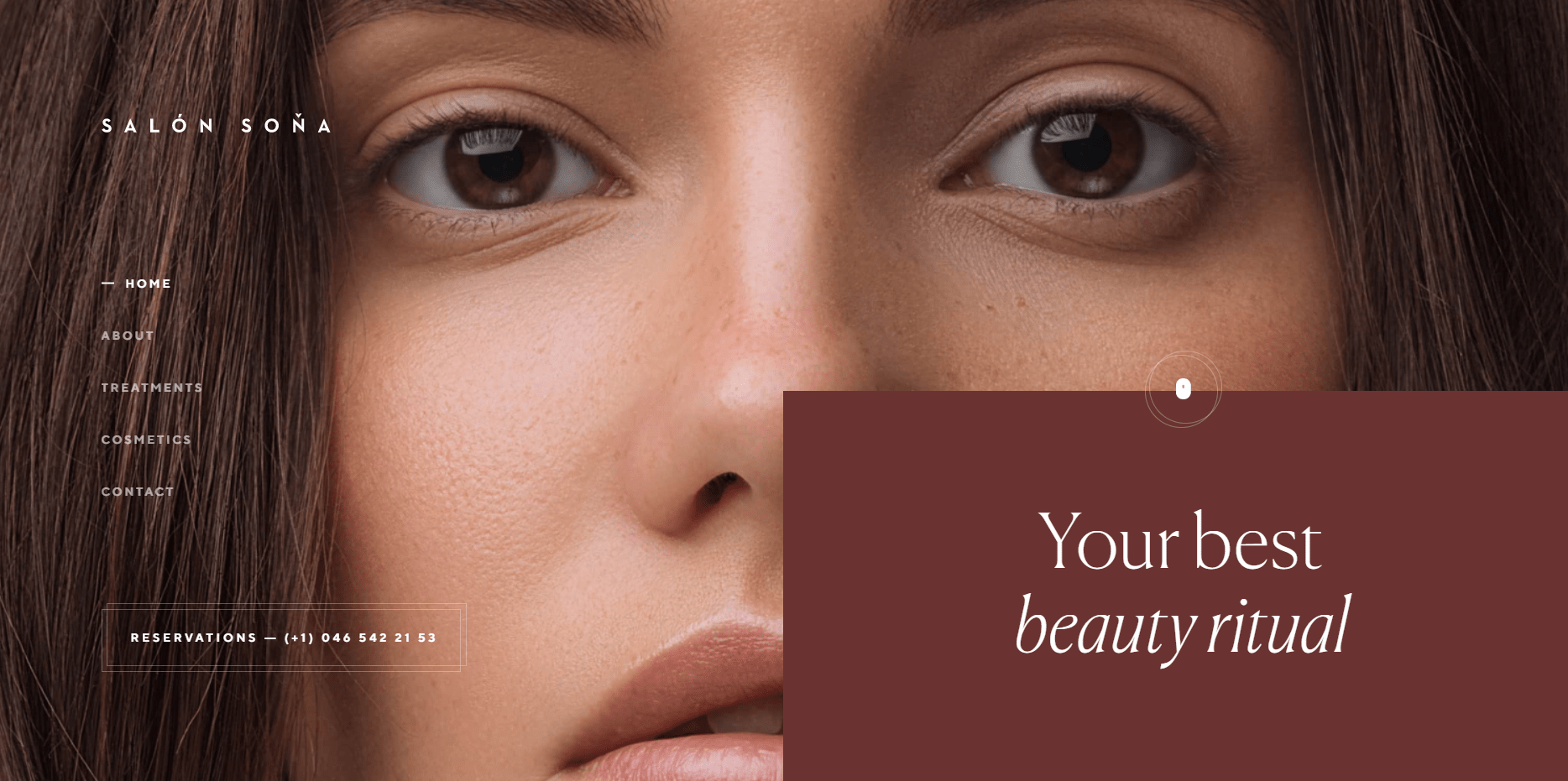 Art4web brown color palettes