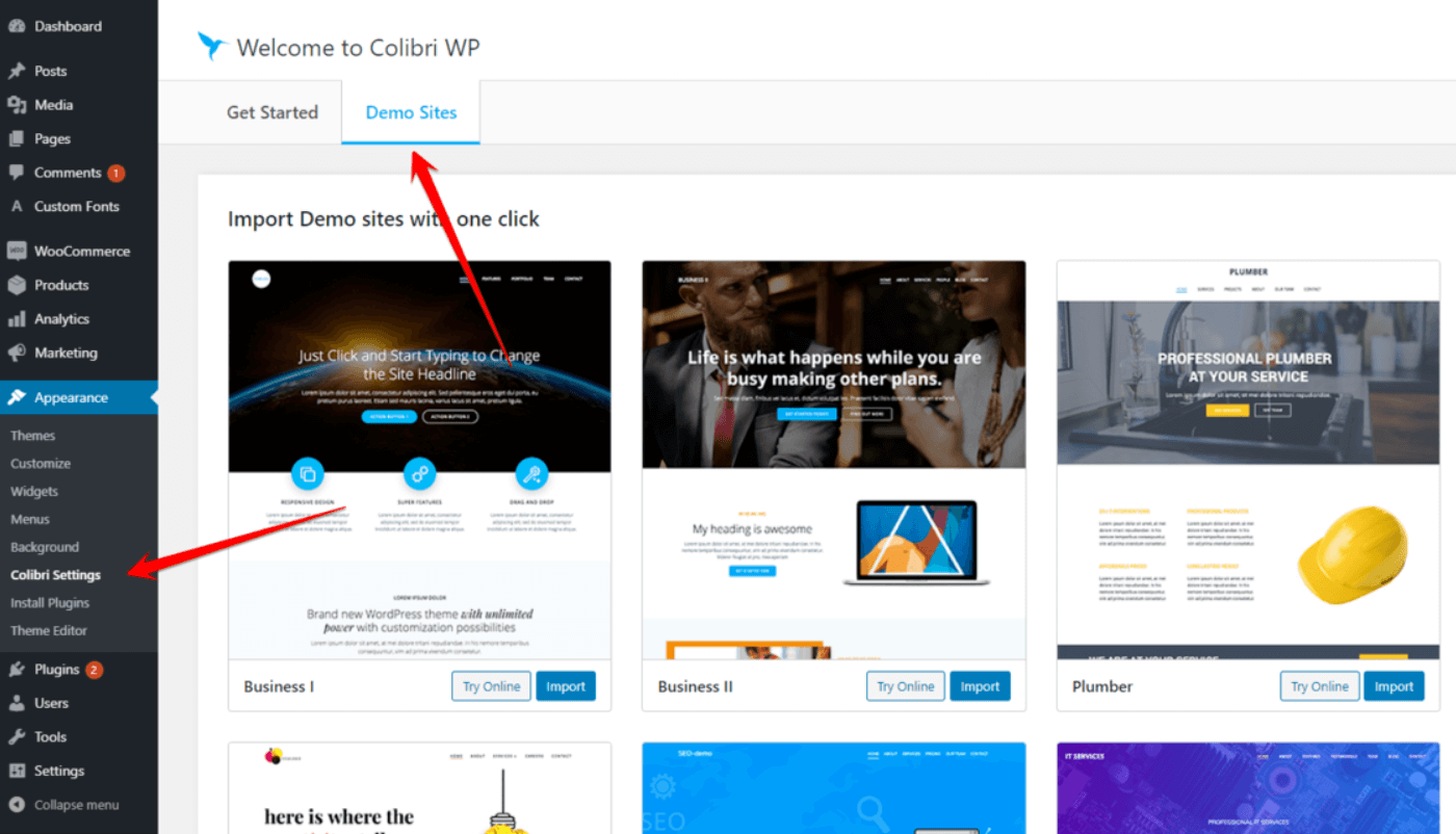 choose WordPress theme
