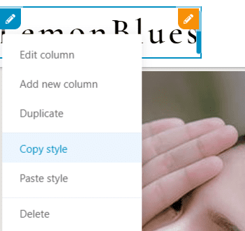 copy style in WordPress
