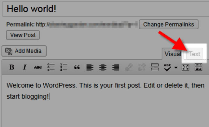 The WordPress text editor 