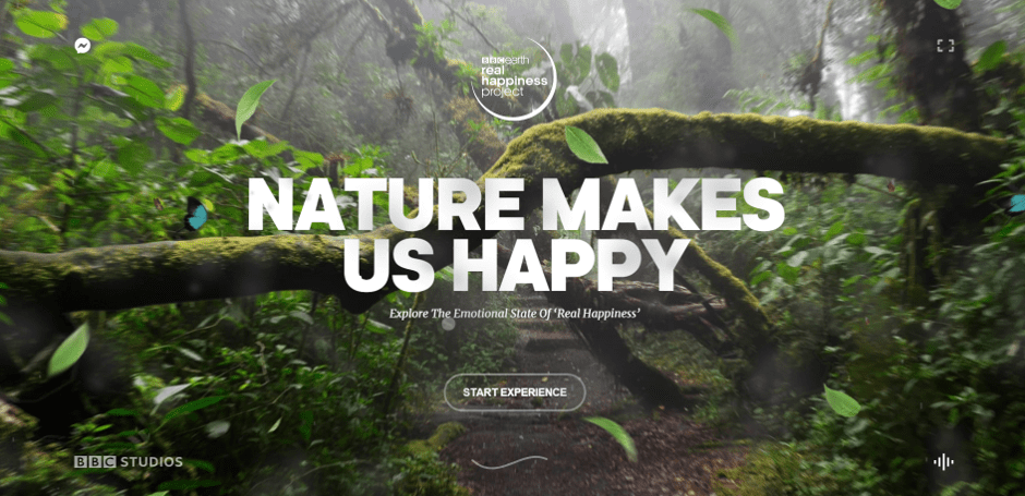 brown and foggy grey plus green