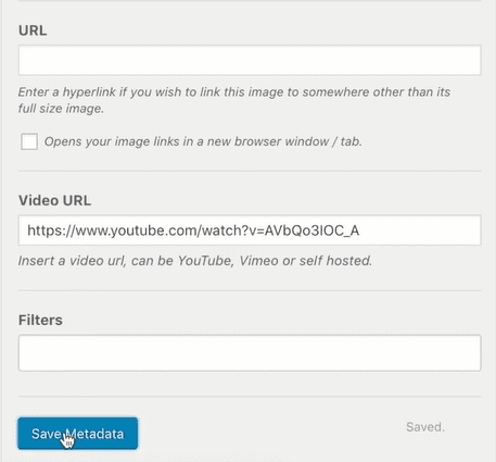 Add video URL