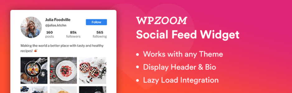 WPZOOM WodPress Instagram Widget